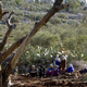 Palestinian women sit amid Budrus olive groves in Dec. 2003 to protest building ofbarrier. (David Silverman/Getty Images)